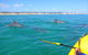 Kayak With Dolphins And 4WD Great Beach Drive Day Trip From Noosa - thumb 11