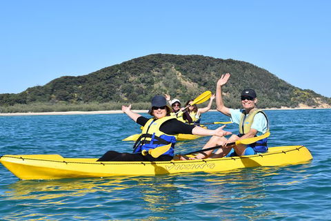 Kayak With Dolphins And 4WD Great Beach Drive Day Trip From Noosa - Kalgoorlie Accommodation 6