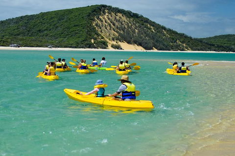 Kayak With Dolphins And 4WD Great Beach Drive Day Trip From Noosa - Kalgoorlie Accommodation 8