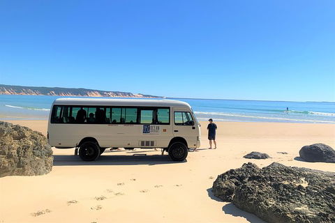 Kayak With Dolphins And 4WD Great Beach Drive Day Trip From Noosa - Kalgoorlie Accommodation 17