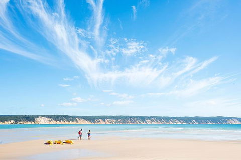 Kayak With Dolphins And 4WD Great Beach Drive Day Trip From Noosa - Kalgoorlie Accommodation 16