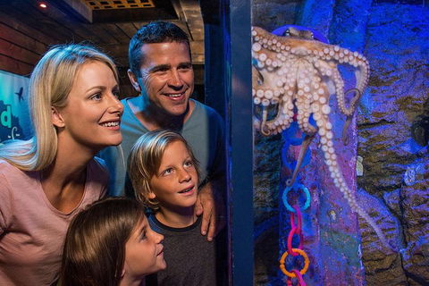 SEA LIFE Sunshine Coast Aquarium Entrance Ticket - Kalgoorlie Accommodation 5