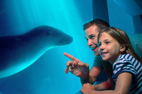SEA LIFE Sunshine Coast Aquarium Entrance Ticket - Kalgoorlie Accommodation 0