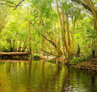 Private Half Day Tour Exclusive World Heritage Rainforest and Waterfall Tour from Cairns - Kalgoorlie Accommodation