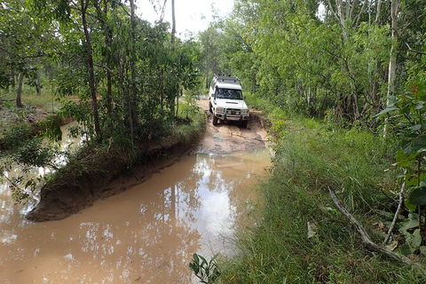 Cairns 4WD Waterfall And Rainforest Tour Including Kuranda Scenic Railway - Kalgoorlie Accommodation 3