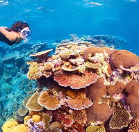6-Day Best of Cairns Including the Great Barrier Reef Kuranda and the Daintree Rainforest - Kalgoorlie Accommodation