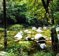 Cairns Daintree Rainforest and Cape Tribulation 2-Day Tour - Kalgoorlie Accommodation