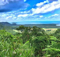 Private Daintree National Park Day Tour from Cairns Including Cape Tribulation and Mossman Gorge - Kalgoorlie Accommodation