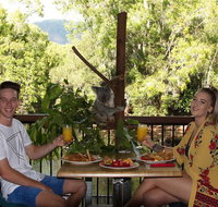 Hartley's Crocodile Adventures Entry Ticket and Breakfast with the Koalas - Kalgoorlie Accommodation
