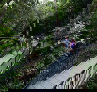 4-Day Cairns with Great Barrier Reef and Daintree Rainforest - Kalgoorlie Accommodation