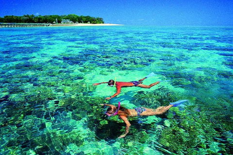 4-Day Cairns With Great Barrier Reef And Daintree Rainforest - Kalgoorlie Accommodation 3