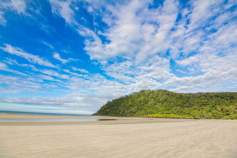 Daintree Afternoon Nocturnal Nature And Wildlife Tour - Kalgoorlie Accommodation 8