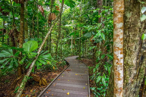 Daintree Afternoon Nocturnal Nature And Wildlife Tour - Kalgoorlie Accommodation 9