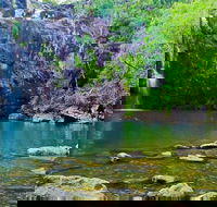 Reef Wildlife  Rainforest - Reef  Beyond Guided Holidays - Kalgoorlie Accommodation