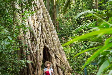 Reef, Wildlife & Rainforest - Reef & Beyond Guided Holidays - Kalgoorlie Accommodation 2