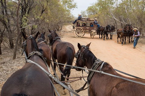 Cobb And Co Stagecoach Experience - Kalgoorlie Accommodation 1