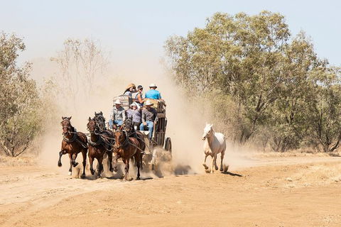Cobb And Co Stagecoach Experience - Kalgoorlie Accommodation 0