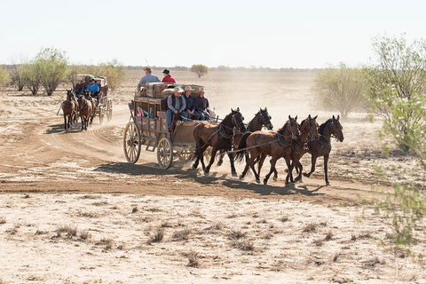 Cobb And Co Stagecoach Experience - Kalgoorlie Accommodation 4