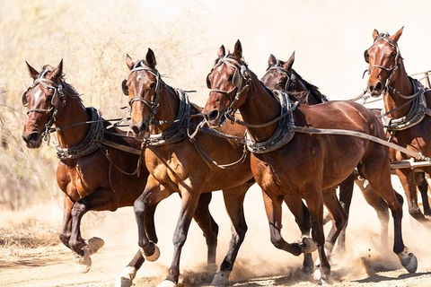 Cobb And Co Stagecoach Experience - Kalgoorlie Accommodation 2