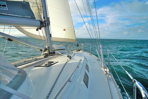 Sailing Curlew Escape On Moreton Bay - Kalgoorlie Accommodation 7