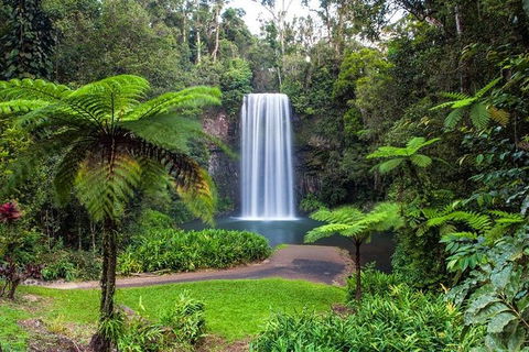 Cairns & Port Douglas All-Inclusive 7 Days Touring Package - Kalgoorlie Accommodation 5