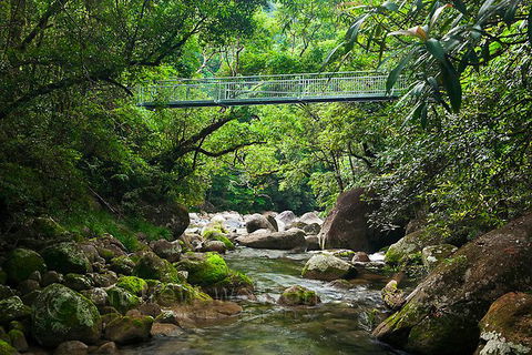 SHUTTLE - Mossman Gorge & Cooya Beach From Port Douglas (Return Transfer) - Kalgoorlie Accommodation 4