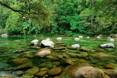 SHUTTLE - Mossman Gorge & Cooya Beach From Port Douglas (Return Transfer) - Kalgoorlie Accommodation 3