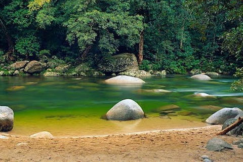 SHUTTLE - Mossman Gorge & Cooya Beach From Port Douglas (Return Transfer) - Kalgoorlie Accommodation 1