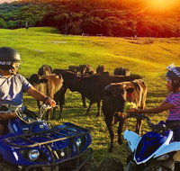 ATV Ride with Petting Zoo Experience in Kuranda from Cairns - Kalgoorlie Accommodation