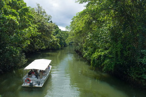 World Heritage Highlights: Reef/Daintree/Cape Tribulation - Kalgoorlie Accommodation 1