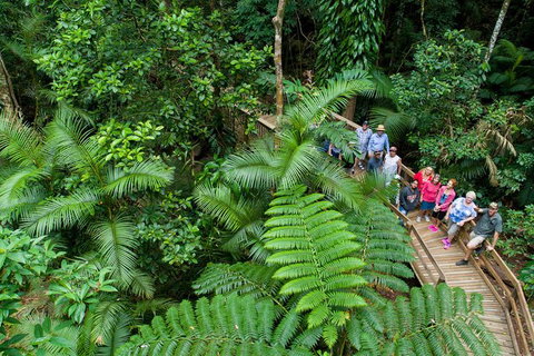 World Heritage Highlights: Reef/Daintree/Cape Tribulation - Kalgoorlie Accommodation 3