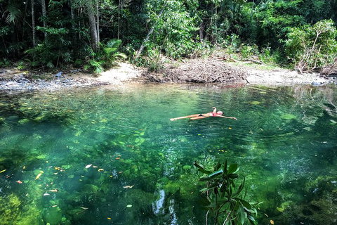 World Heritage Highlights: Reef/Daintree/Cape Tribulation - Kalgoorlie Accommodation 4