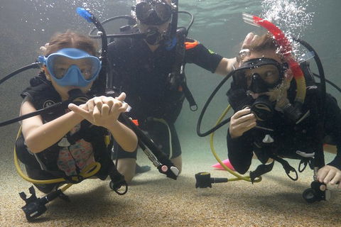 Scuba Kids- Padi Bubblemaker Course - Kalgoorlie Accommodation 4