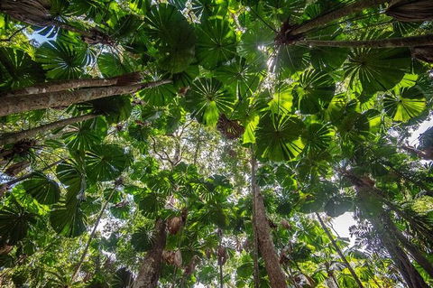 5 Day Australia Retreat: Queensland Daintree - Kalgoorlie Accommodation 4