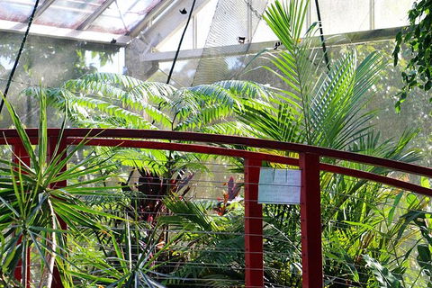 Australian Butterfly Sanctuary- Virtual Interactive Tour With Private Guide - Kalgoorlie Accommodation 2