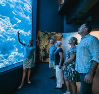 Cairns Aquarium by Twilight with 3 Course Dinner - Kalgoorlie Accommodation