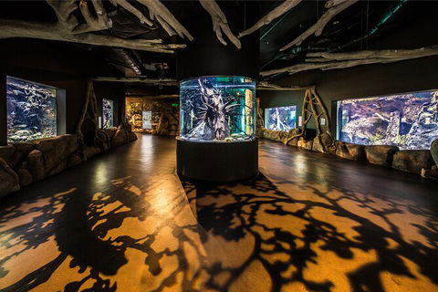 Cairns Aquarium Tour By Twilight With Drink And Appetiser - Kalgoorlie Accommodation 4