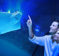 Cairns Aquarium Tour by Twilight with Drink and Appetiser - Kalgoorlie Accommodation