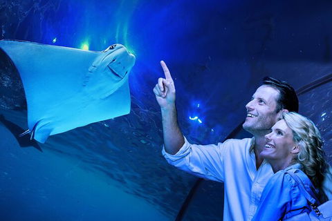 Cairns Aquarium Tour By Twilight With Drink And Appetiser - Kalgoorlie Accommodation 0