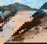 Freycinet Walking Tour - Kalgoorlie Accommodation