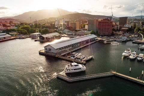 Deep-to-Dish: Tasmanian Seafood Experience - Morning Tour - Kalgoorlie Accommodation 2