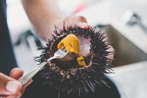 Deep-to-Dish: Tasmanian Seafood Experience - Morning Tour - Kalgoorlie Accommodation 9