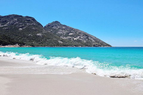 Sea & Explore Wineglass Bay & Freycinet National Park - Cruise & Walk - Kalgoorlie Accommodation 4