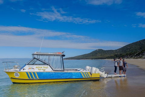 Sea & Explore Wineglass Bay & Freycinet National Park - Cruise & Walk - Kalgoorlie Accommodation 7