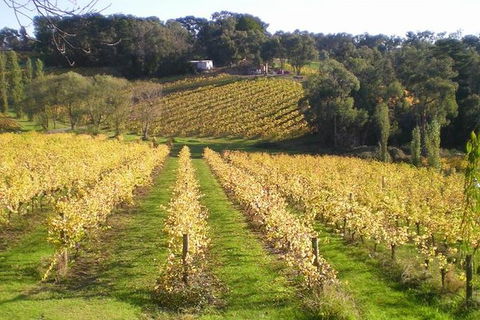 Macedon Ranges Winery Tour From Melbourne - Kalgoorlie Accommodation 1