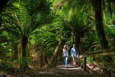 The Great Ocean Road 1 Day Private Sunset Tour - Kalgoorlie Accommodation 1
