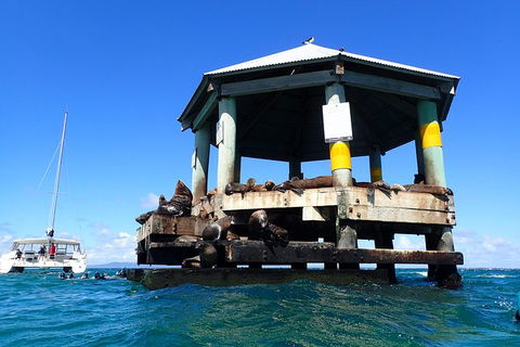 Sailing Cruise With Seals - Kalgoorlie Accommodation 1