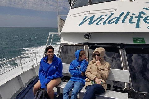 Phillip Island Penguin And Wildlife Tour - Kalgoorlie Accommodation 15