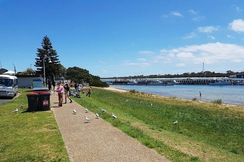 Phillip Island Penguin And Wildlife Tour - Kalgoorlie Accommodation 25
