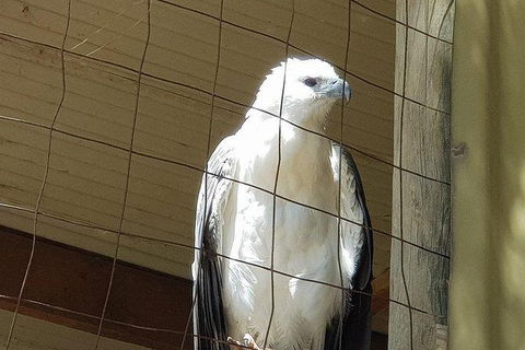 Phillip Island Penguin And Wildlife Tour - Kalgoorlie Accommodation 21